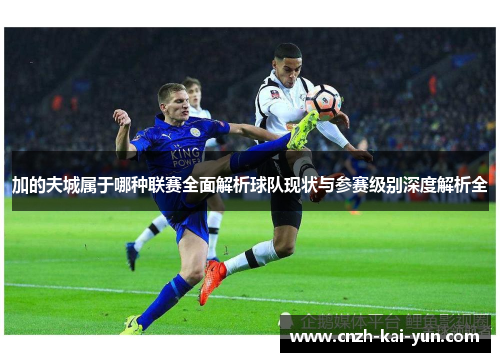 加的夫城属于哪种联赛全面解析球队现状与参赛级别深度解析全