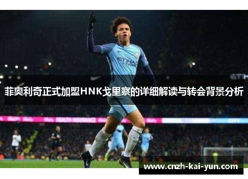 菲奥利奇正式加盟HNK戈里察的详细解读与转会背景分析