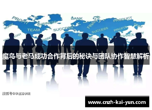 魔鸟与老马成功合作背后的秘诀与团队协作智慧解析